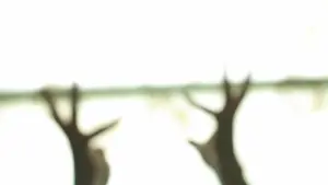 Backdrop to the movie "I Am Here Now" #484927