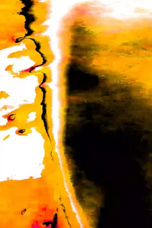 Poster to the movie "Pulmão Vagalume" #427265