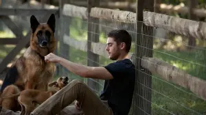 Backdrop to the movie "The Lucky One" #238195