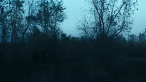 Backdrop to the movie "The Outlaw Josey Wales" #670928