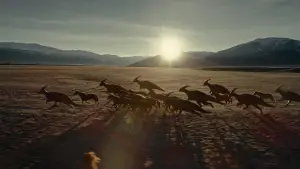 Backdrop to the movie "Jurassic World Dominion" #565090