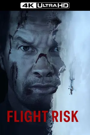 Poster to the movie "Flight Risk" #576361