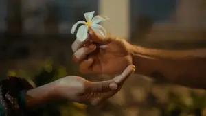 Backdrop to the movie "Frangipani: The Short Film" #769469