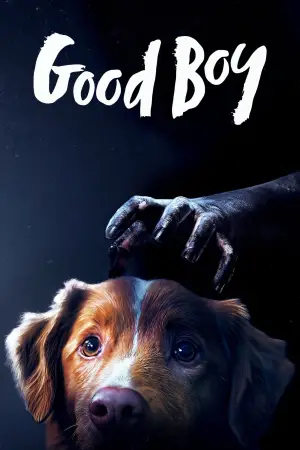 Poster to the movie "Good Boy" #770400