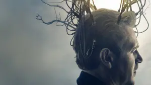 Backdrop to the movie "The Discovery" #291997