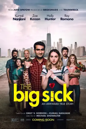 Poster to the movie "The Big Sick" #113988