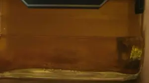 Backdrop to the movie "Adulterers" #608582