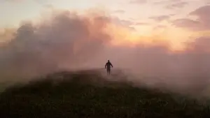 Backdrop to the movie "Reedland" #790214