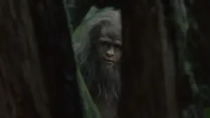 Backdrop to the movie "Sasquatch Sunset" #745829