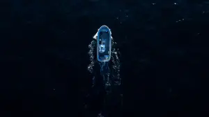 Backdrop to the movie "The Carman Family Deaths" #691955