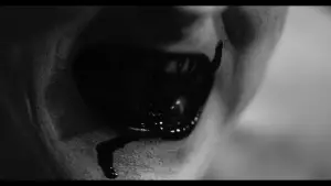 Backdrop to the movie "They Live on Top" #665927