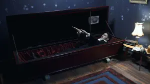 Backdrop to the movie "What We Do in the Shadows" #206600