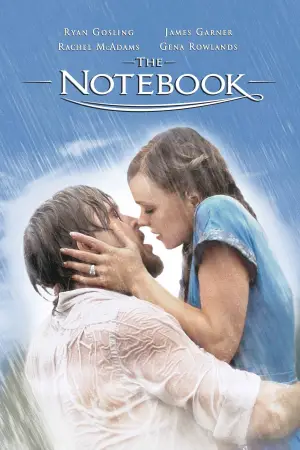 Poster to the movie "The Notebook" #528713