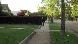 Backdrop to the movie "Halloween" #610798