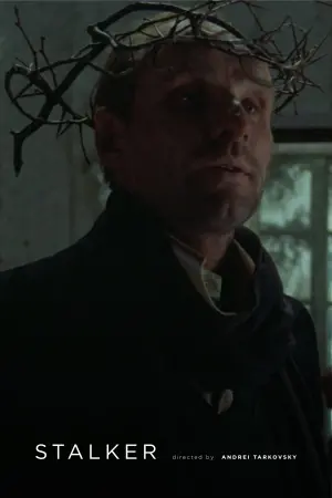 Poster to the movie "Stalker" #176911