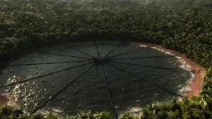 Backdrop to the movie "The Hunger Games: Catching Fire" #625220