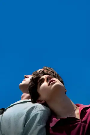 Poster to the movie "Call Me by Your Name" #596044