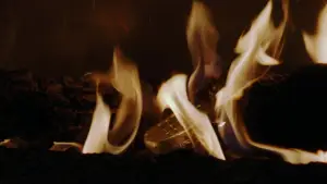 Backdrop to the movie "The Strangers" #810830