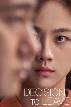 Poster to the movie "Decision to Leave" #653681