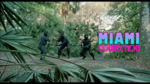 Backdrop to the movie "Miami Connection" #540498