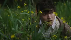 Backdrop to the movie "Para atrapar el viento" #539087