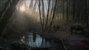 Backdrop to the movie "The Revenant" #516963