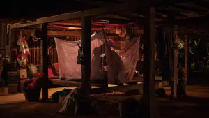 Backdrop to the movie "The Paradise of Thorns" #700395