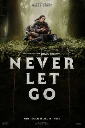 Poster to the movie "Never Let Go" #621351