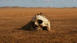 Backdrop to the movie "Furiosa: A Mad Max Saga" #429937