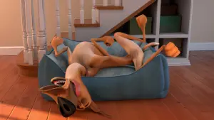 Backdrop to the movie "Marmaduke" #337067