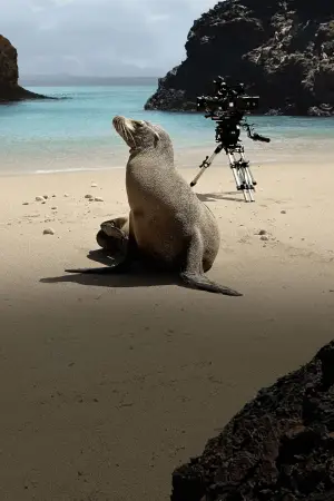 Poster to the movie "Guardians of the Galapagos" #720083