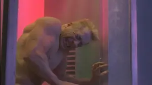 Backdrop to the movie "Universal Soldier II: Brothers in Arms" #402758