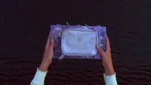 Backdrop to the movie "Secretary" #718430