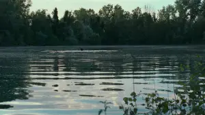 Backdrop to the movie "Call Me by Your Name" #595930