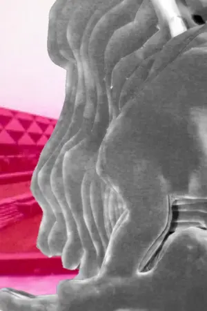 Movie poster "On the nature of the bone"