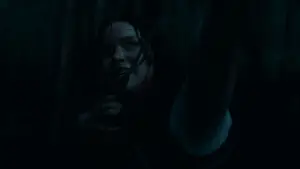 Backdrop to the movie "The Hunger Games: Catching Fire" #625235