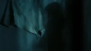 Backdrop to the movie "Dark Water" #938360