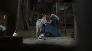 Backdrop to the movie "Hungarian Dressmaker" #705198