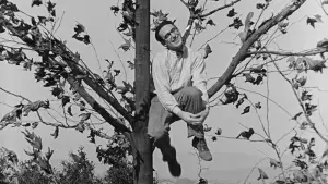 Backdrop to the movie "The Kid Brother" #768021