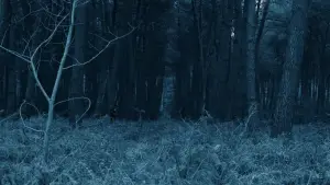 Backdrop to the movie "Void Madness" #777986