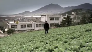 Backdrop to the movie "Memories of Murder" #630491