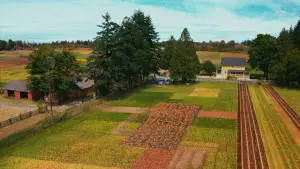 Backdrop to the movie "R.L. Stine