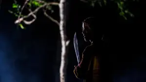 Backdrop to the movie "Blood Fest" #425823