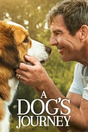 Poster to the movie "A Dog