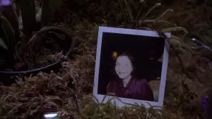 Backdrop to the movie "Secretary" #718428