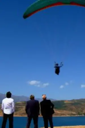 Poster to the movie "Shurochka" #460093