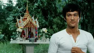 Backdrop to the movie "The Big Boss" #726724