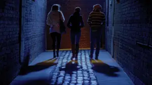 Backdrop to the movie "The Collection" #598830