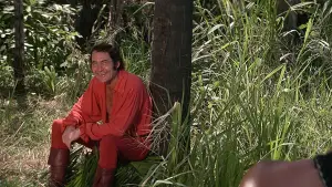 Backdrop to the movie "Swashbuckler" #718862