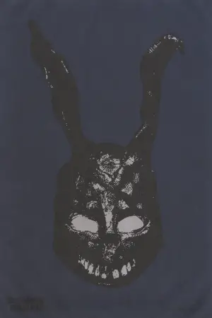 Poster to the movie "Donnie Darko" #528370